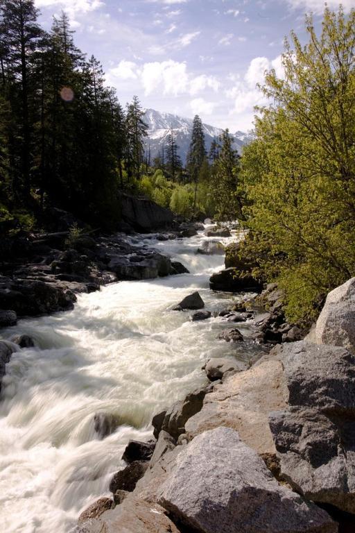 Pine River Ranch B&B Lake Wenatchee Buitenkant foto